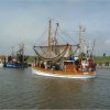 26.07.2003 Ostfriesland