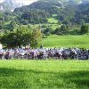 15.07.2004 internationales Meeting Schweiz