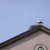 18.06.2005 Schweiz