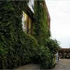 12.08.2005 Oldenburg