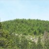 08.06.2007 Schweiz