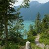 14.06.2008 Schweiz