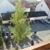 31.8.-02.9.2012 20 Jahre VRCD (Sauerland)
