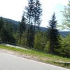 Mai 2016 Schwarzwald