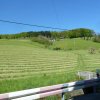 Mai 2016 Schwarzwald