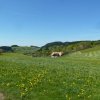 Mai 2016 Schwarzwald