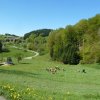 Mai 2016 Schwarzwald