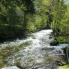 Mai 2016 Schwarzwald