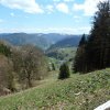 Mai 2016 Schwarzwald