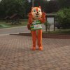 21.07.2017 Int. Meeting Deutschland