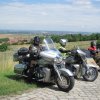 21.07.2017 Int. Meeting Deutschland