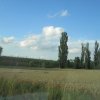21.07.2017 Int. Meeting Deutschland