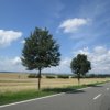 21.07.2017 Int. Meeting Deutschland