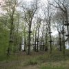 April 2017 Ostwestfalen
