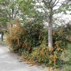 September 2019 Sauerland