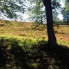 September 2019 Sauerland