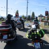 IMG-20200925-WA0014