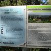IMG-20200925-WA0196