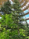 Mai 2023 Bayerischer Wald