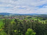 Mai 2023 Bayerischer Wald
