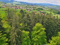 Mai 2023 Bayerischer Wald
