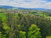 Mai 2023 Bayerischer Wald