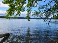 Mai 2025 Brandenburg