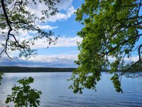 Mai 2025 Brandenburg