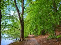 Mai 2025 Brandenburg