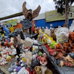 Mai 2025 Brandenburg