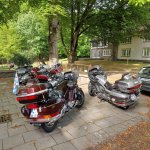 Mai 2025 Brandenburg