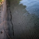 Mai 2025 Brandenburg