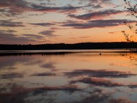 Mai 2025 Brandenburg